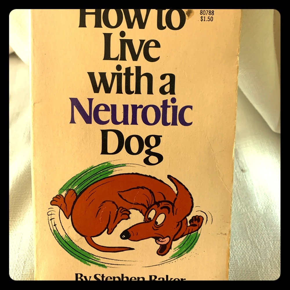 How to live with a neurotic Dog